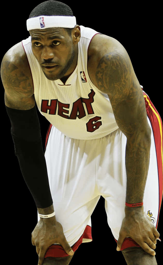 Le Bron James Miami Heat Game Stance