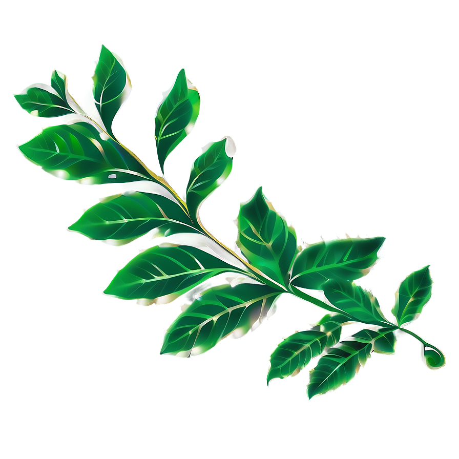 Leaf Border Png 79