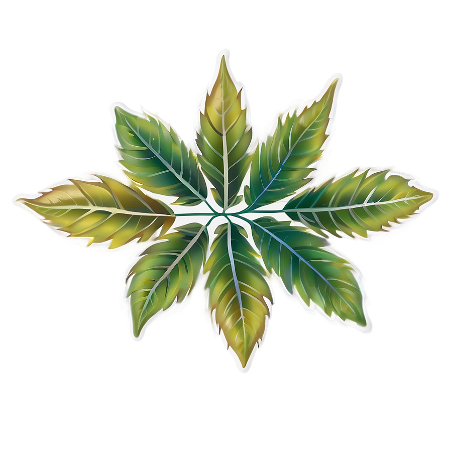 Leaf Border Png Bua