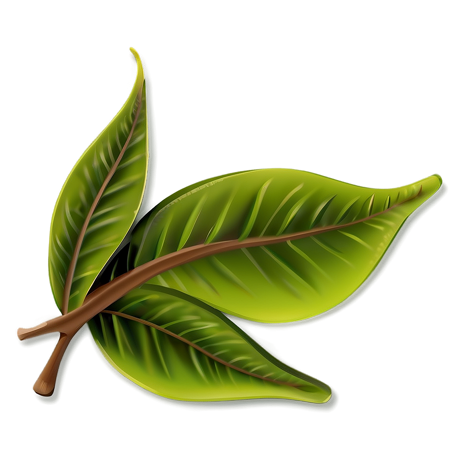 Leaf Cartoon Png 05032024