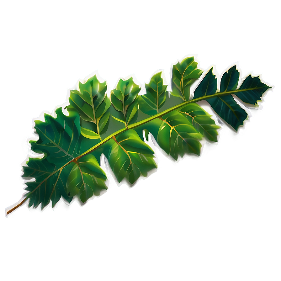 Leaf Illustration Png Dui33