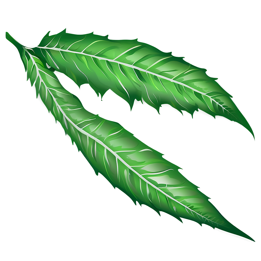 Leaf Illustration Png Haq