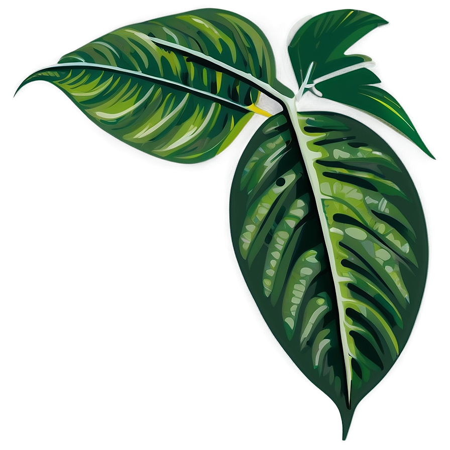 Leaf Vector Png 28