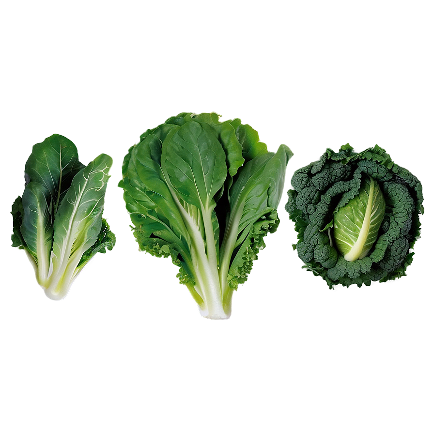 Leafy Greens Vegetables Png Ted91