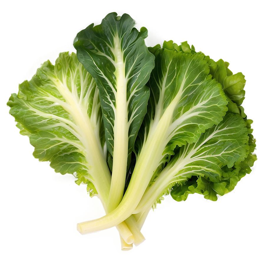 Leafy Greens Vegetables Png Uvt