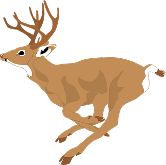 Leaping Deer Vector Illustration