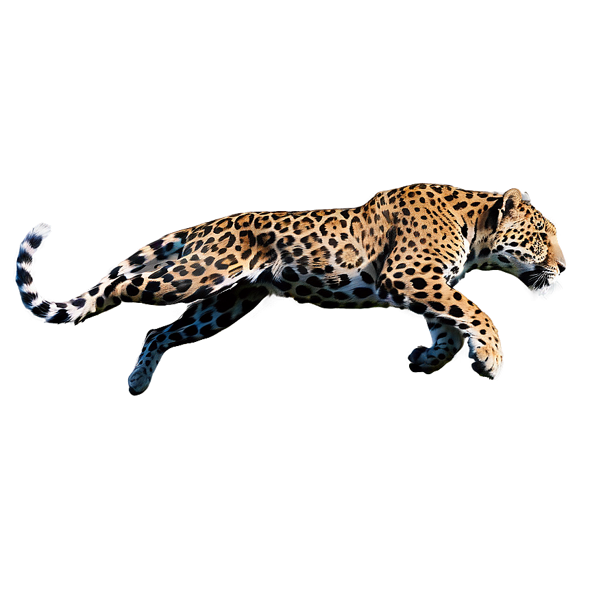 Leaping Jaguar Png 28