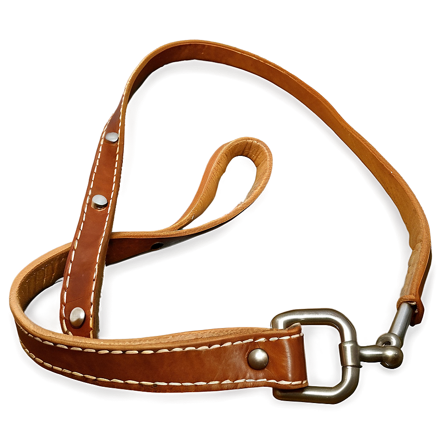 Leather Dog Leash Png Rth