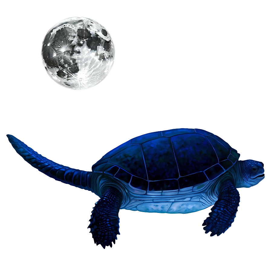 Leatherback Turtle In Moonlight Png Nue3