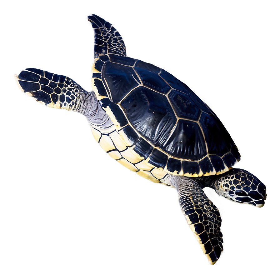 Leatherback Turtle Ocean Depths Png Lfy