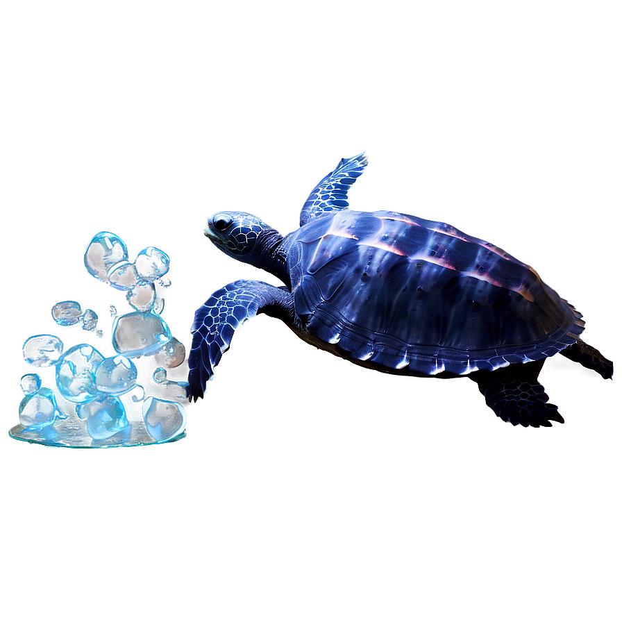 Leatherback Turtle With Jellyfish Png Tdb46