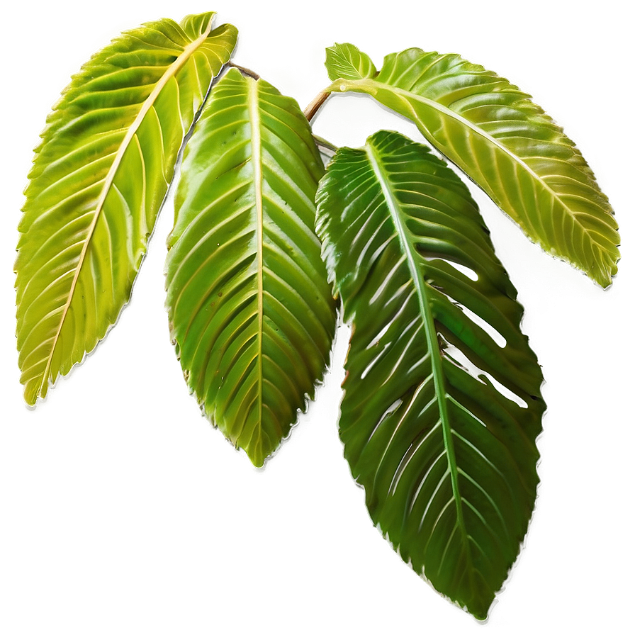 Leaves Descending Png Rbe