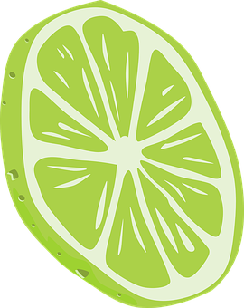 Lemon Slice Illustration