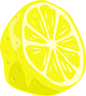 Lemon Slice Illustration