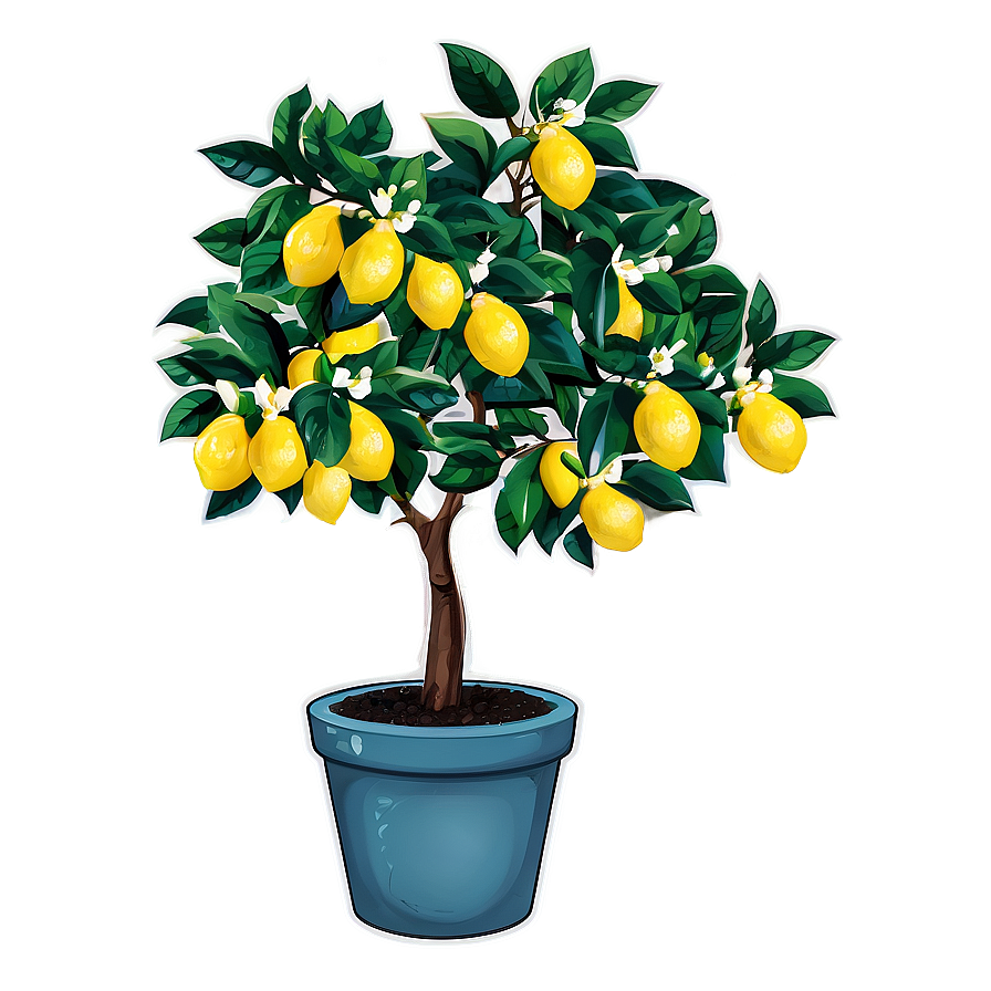 Lemon Tree In Pot Illustration Png 31