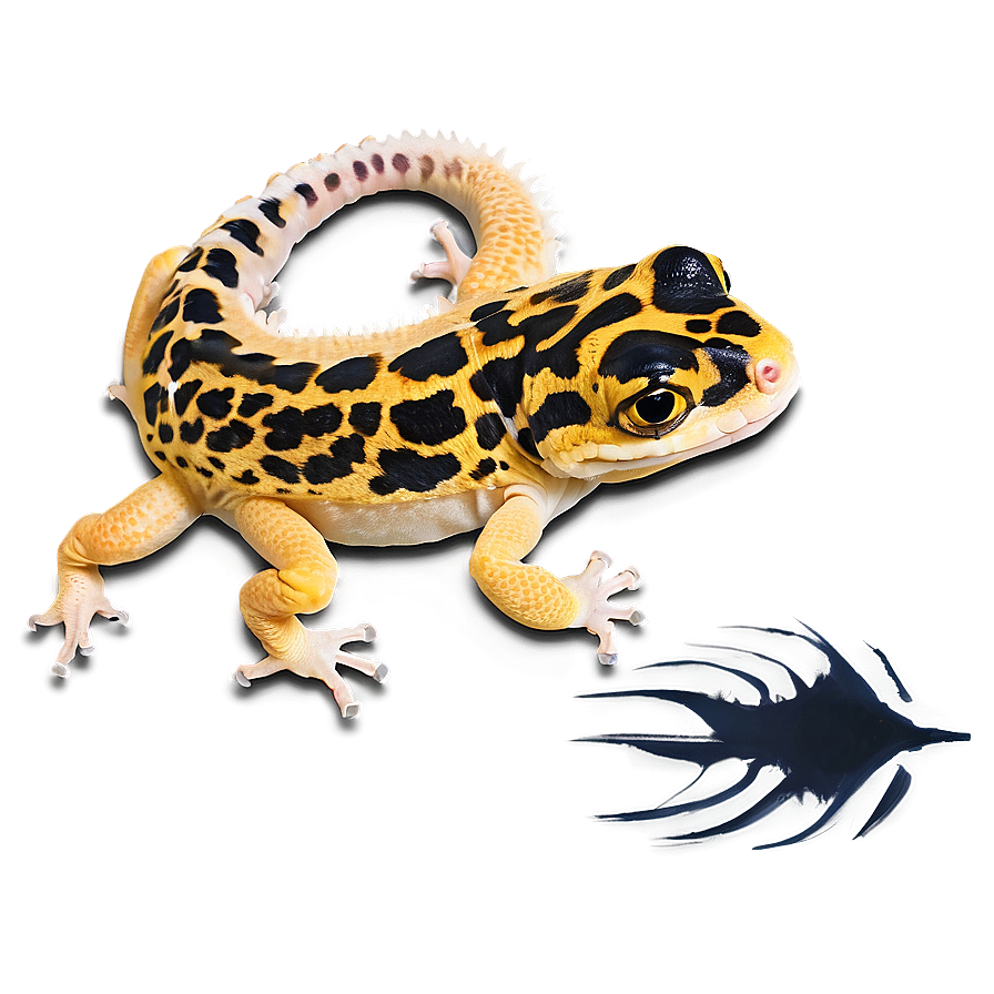 Leopard Gecko Skin Texture Png Aao