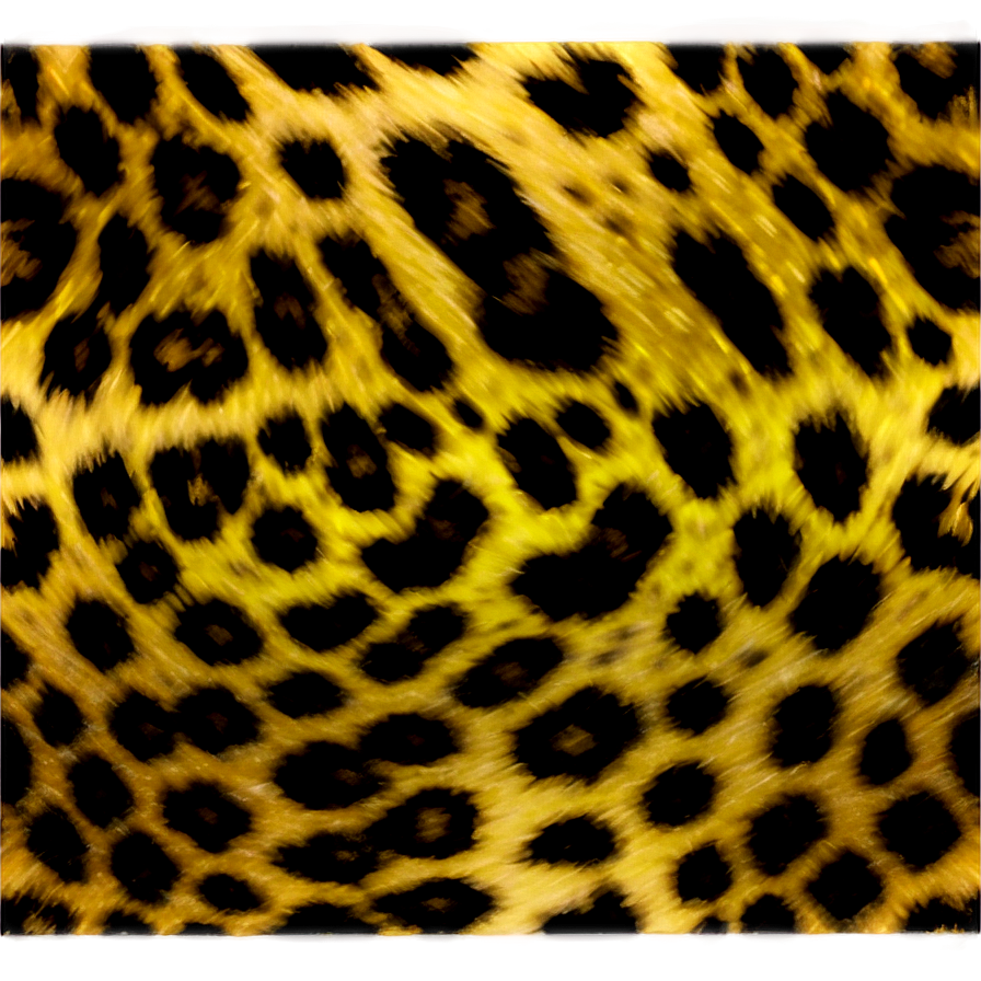 Leopard Pattern C