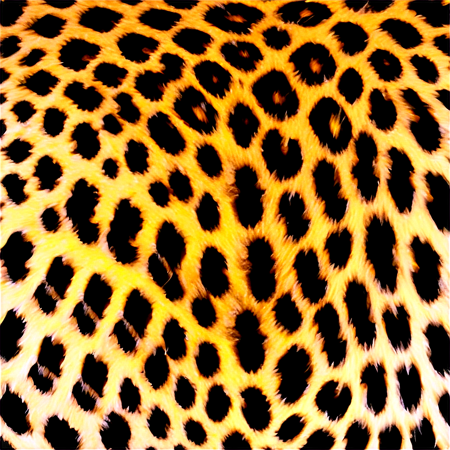 Leopard Pattern Overlay Png Hhr55