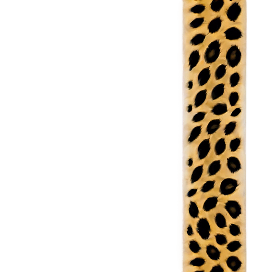 Leopard Print Border Png 05212024