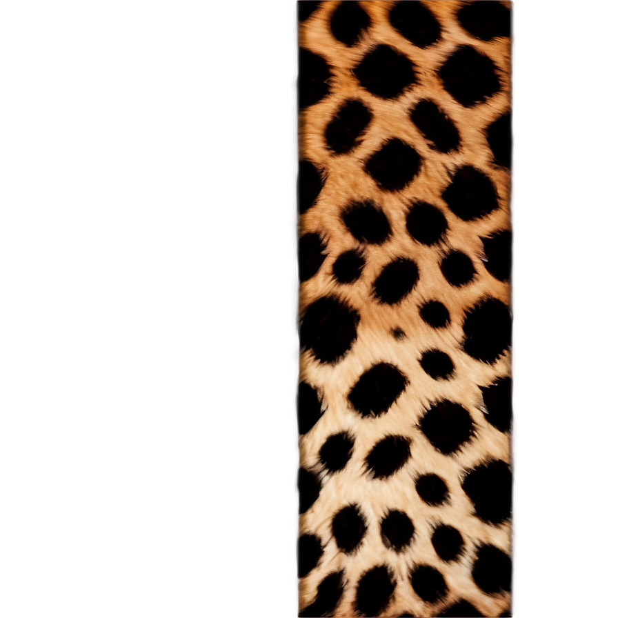 Leopard Print Border Png 06272024