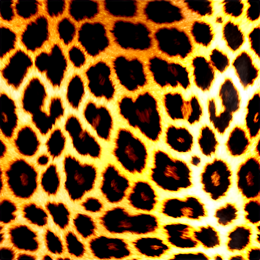 Leopard Print Frame Png 35