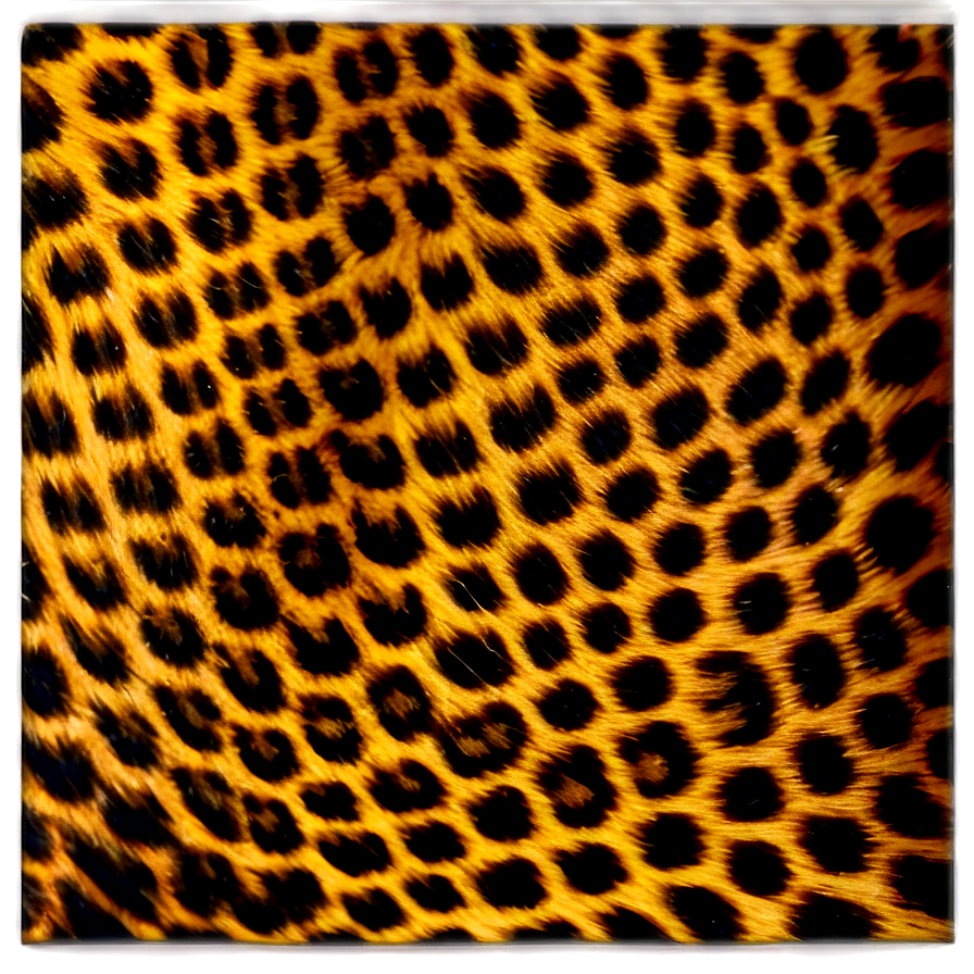 Leopard Print Icon Png 05212024