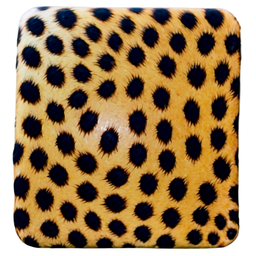 Leopard Spots Png 14