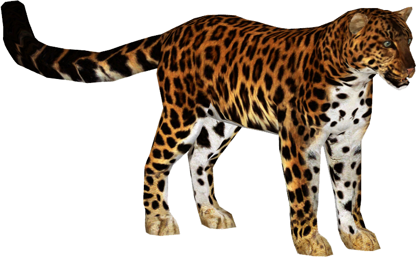 Leopardin Stride.png