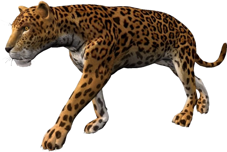 Leopardin Stride.png