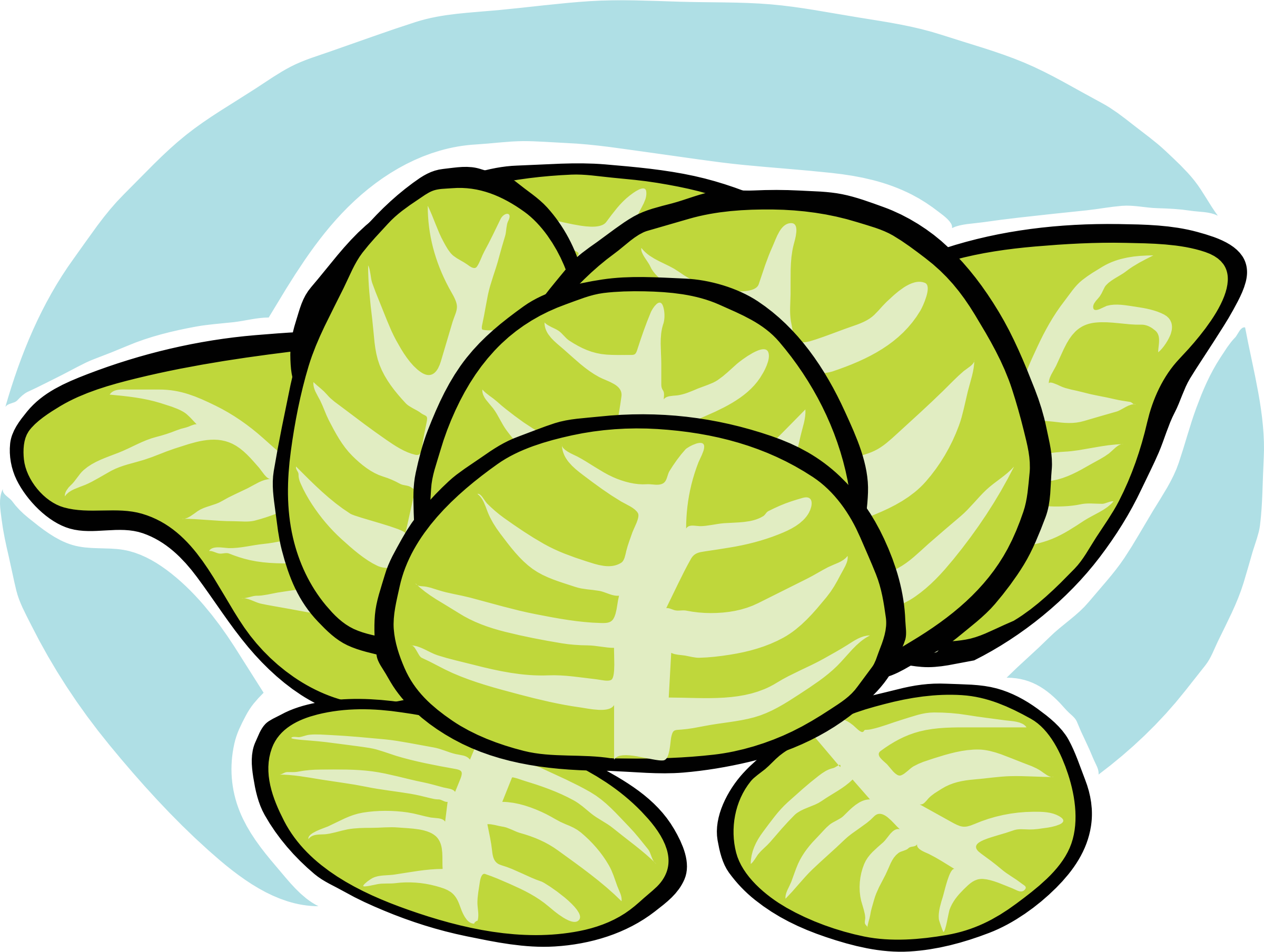 Lettuce Turtle Cartoon Illustration