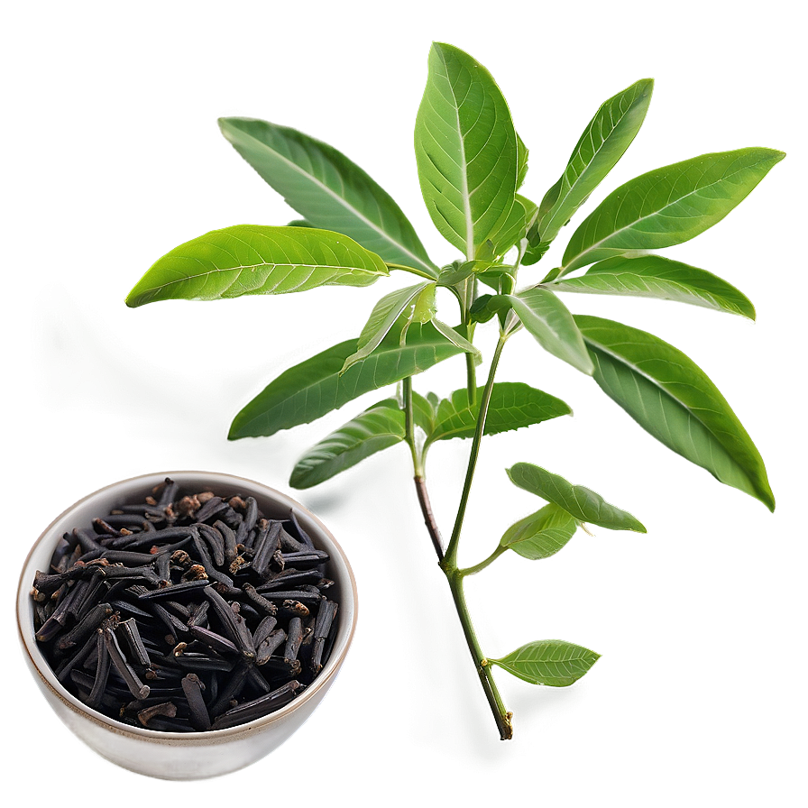 Licorice Tea Leaf Png 25