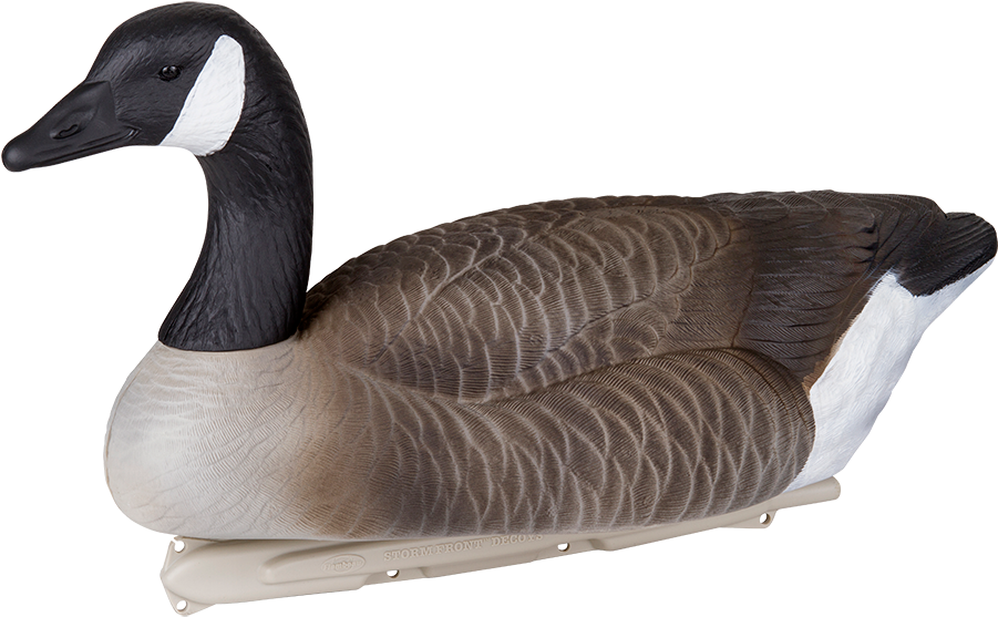 Lifelike Goose Decoy