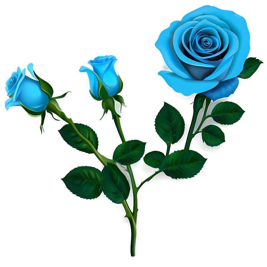 Light Blue Rose Png 06202024