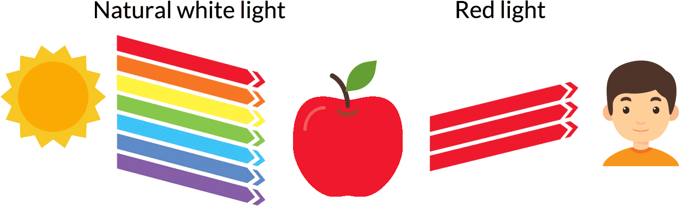 Light Spectrum Comparison Illustration