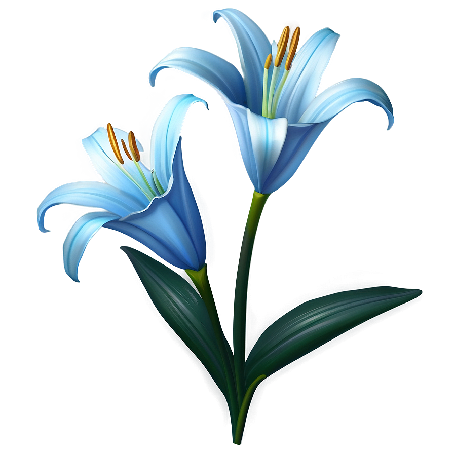 Lily Flower Art Png 88