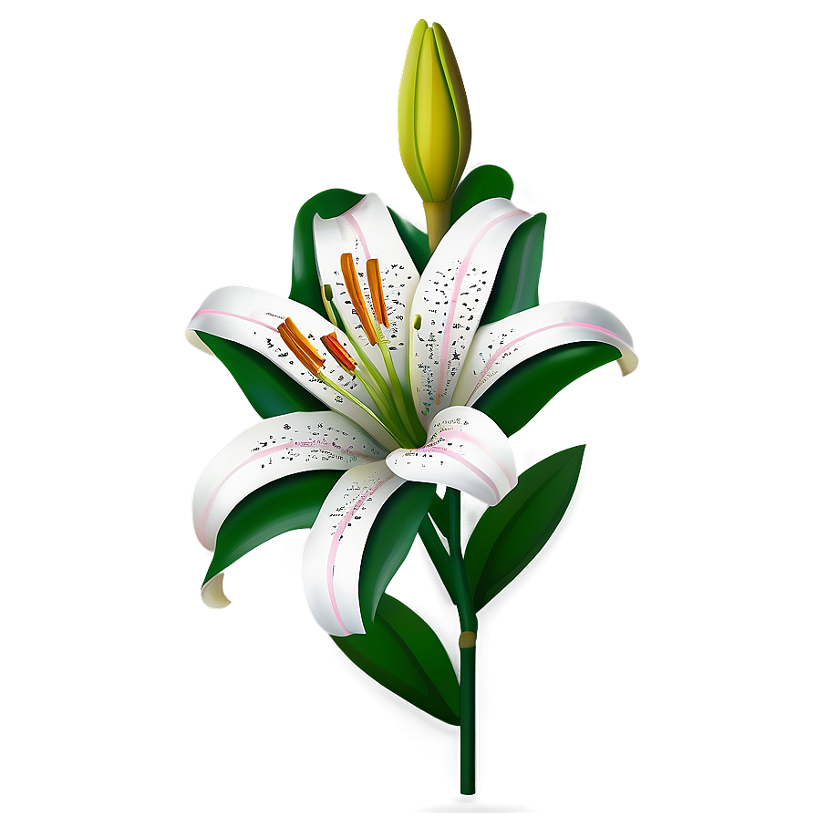 Lily Flower Icon Png Iie