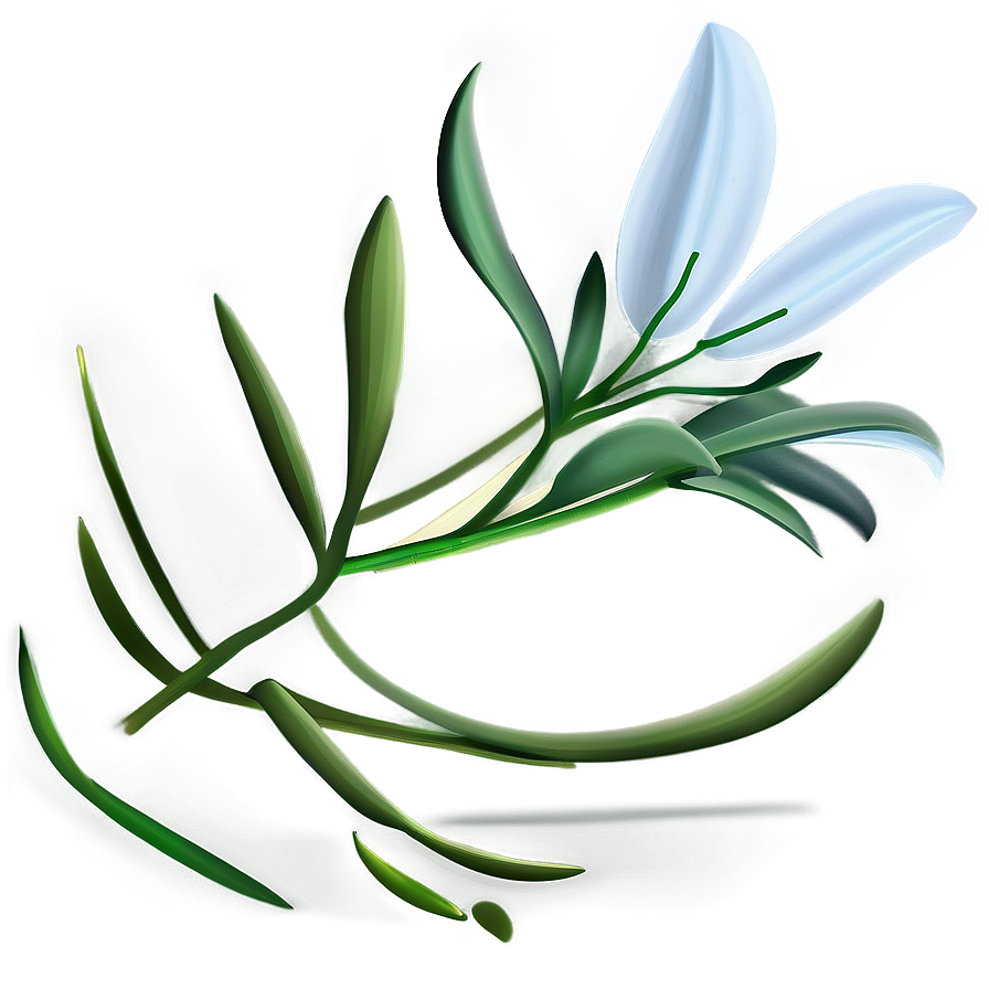 Lily Flower Seed Png Msg78