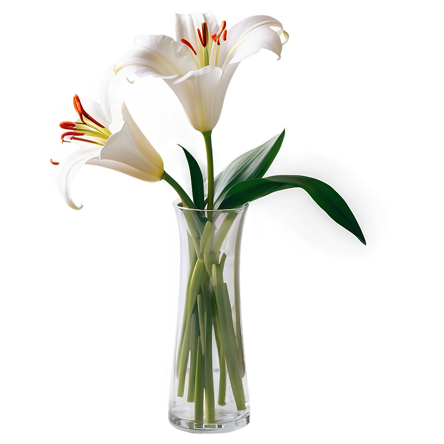 Lily Flower Vase Png 06272024