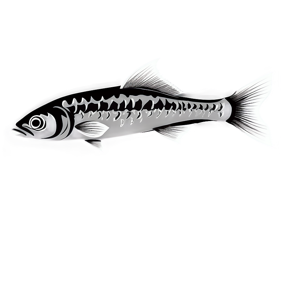 Line Art Fish Png Afc