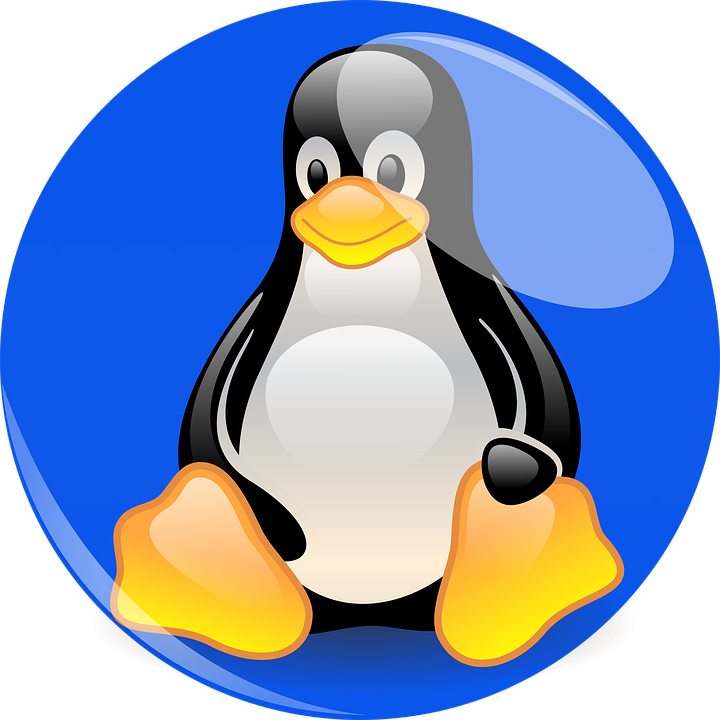 Linux Mascot Tux Penguin