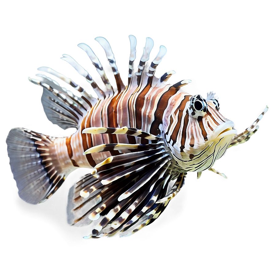 Lionfish In Coral Reef Png 10