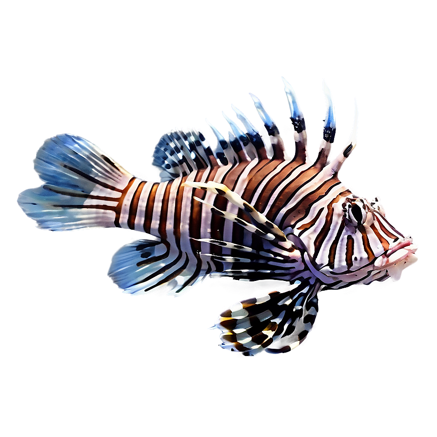 Lionfish Isolated On White Png 35