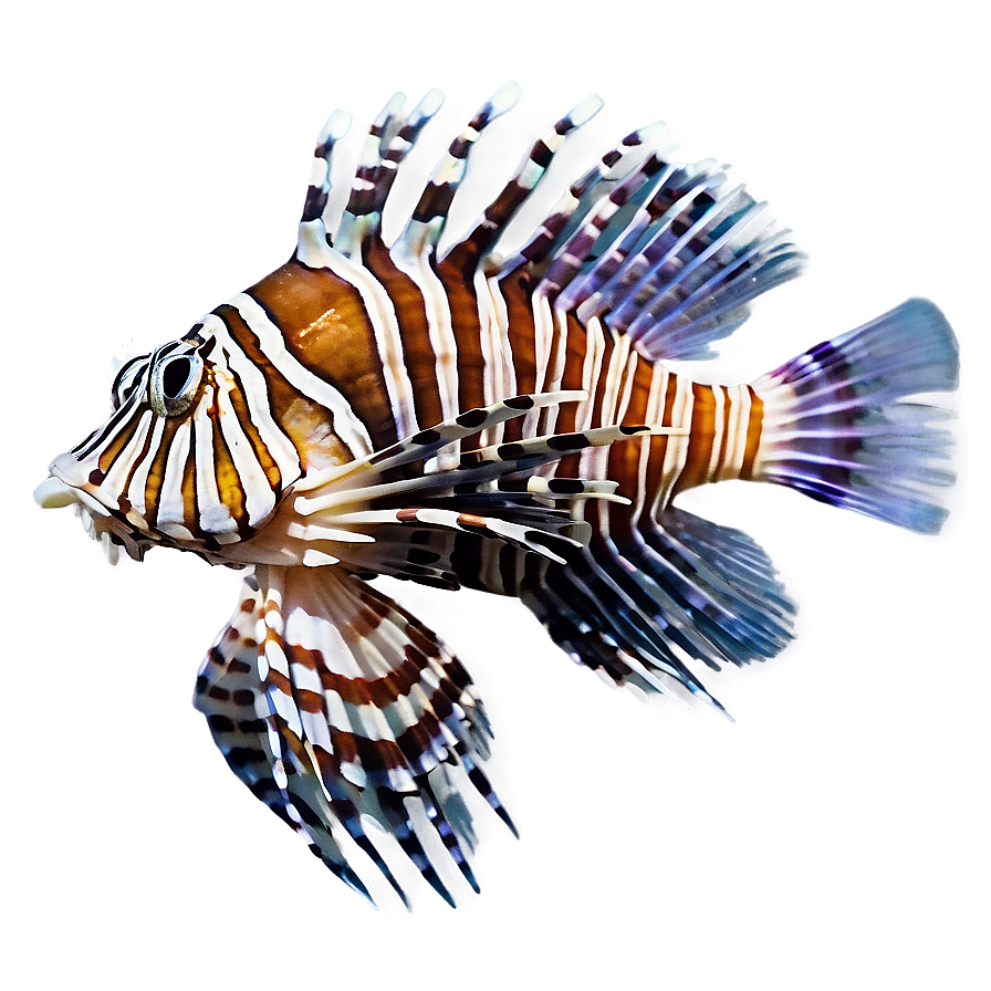 Lionfish Marine Life Png Dpr15