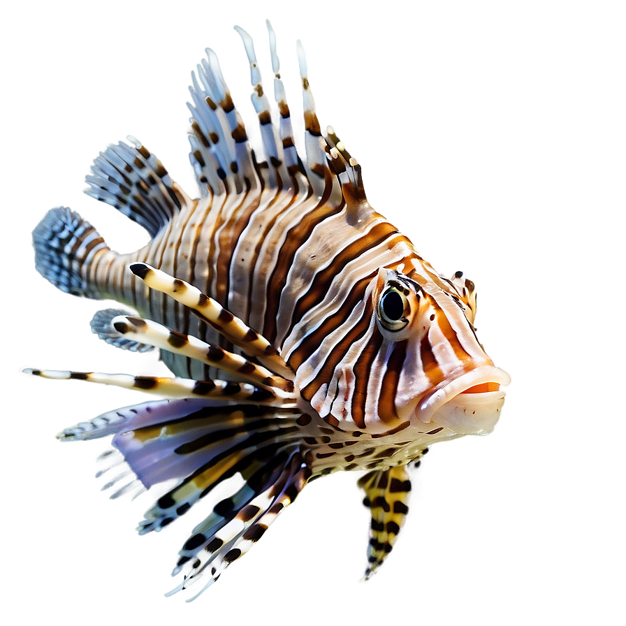 Lionfish Species Png Rvh84