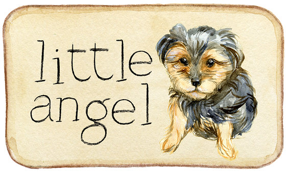 Little Angel Yorkie Puppy Illustration