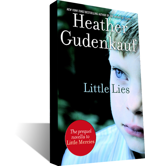 Little Lies Book Cover