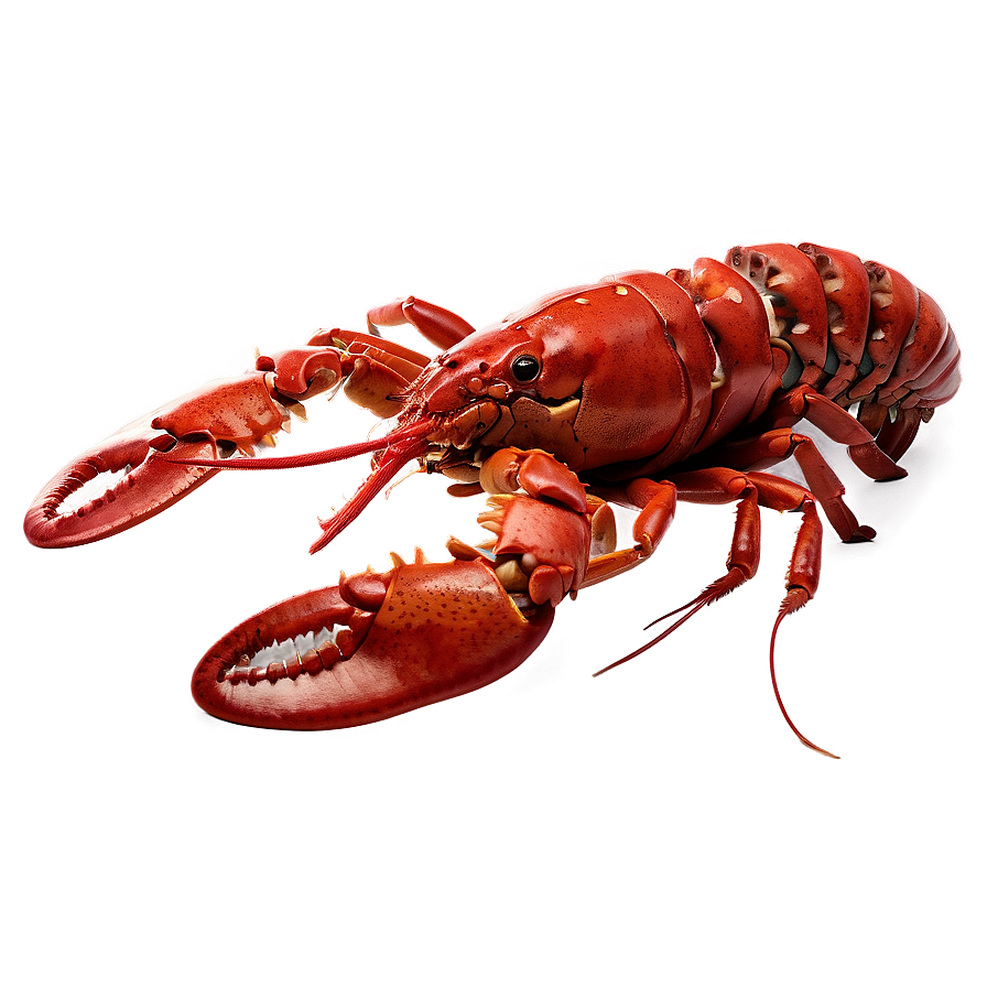 Lobster Seafood Png Ovb