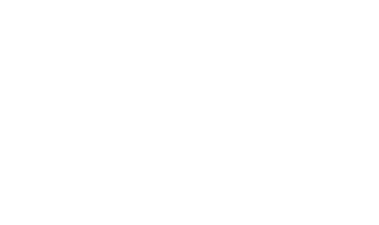 Lone Armadillo Marketing Logo