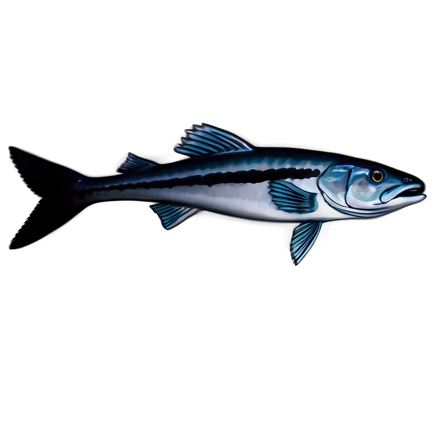 Lone Barracuda Png Fly58