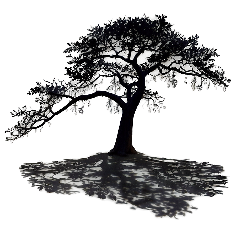 Lone Tree Shadow Png Iul20